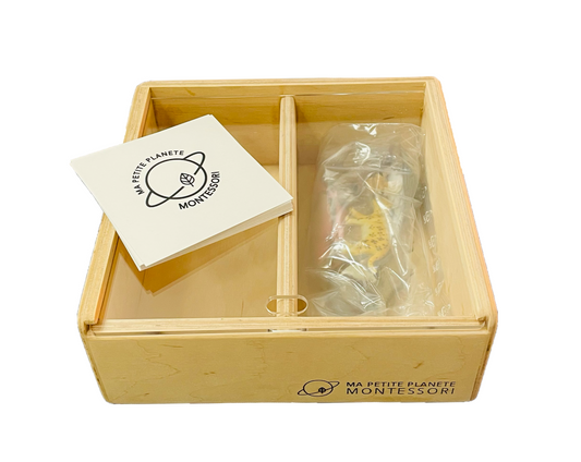 Pelagic fish figurines box