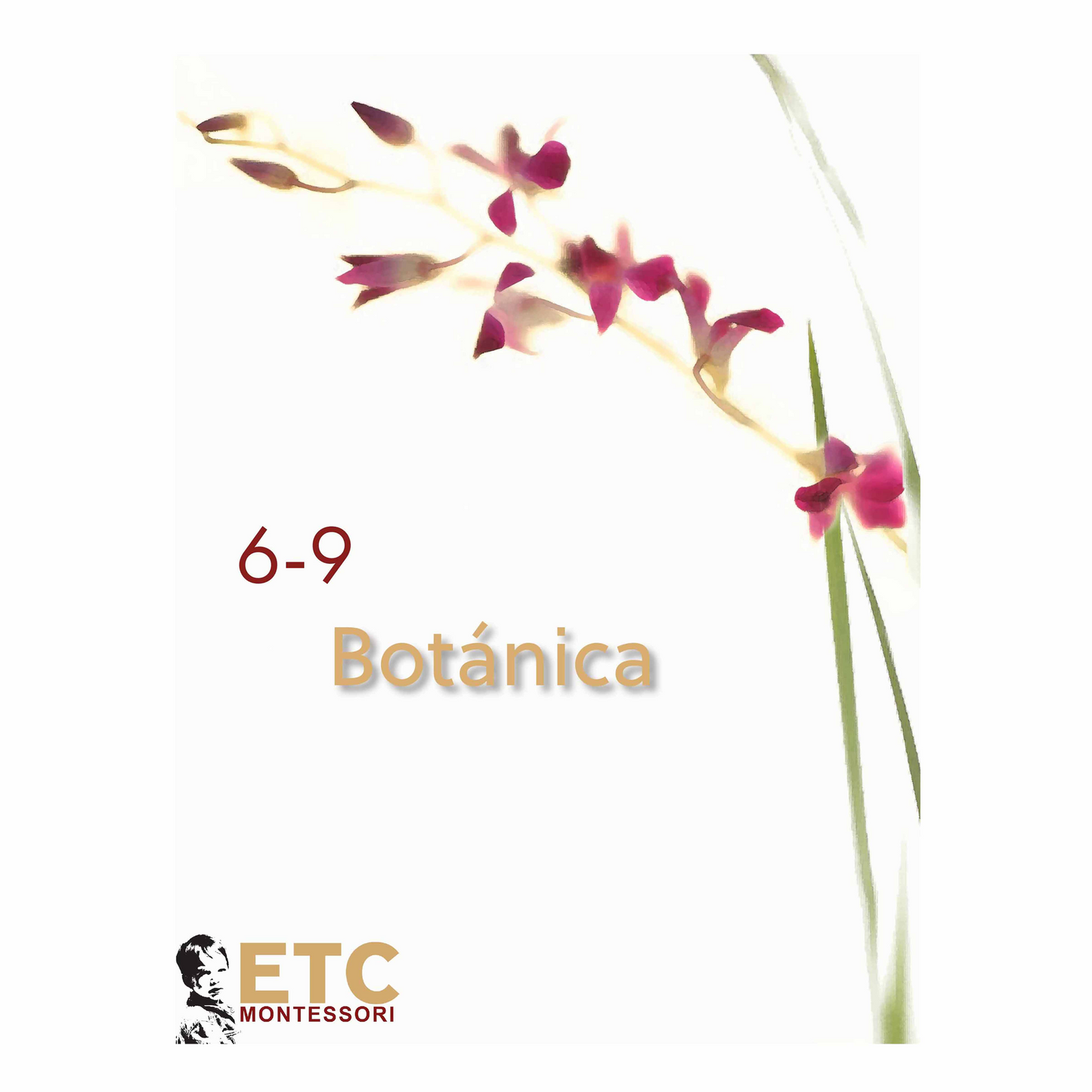 6-9 Botánica (Englisch) - Nienhuis AMI