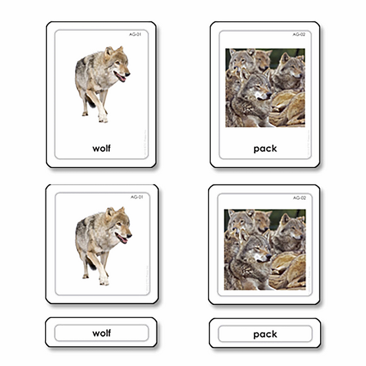 3-fold cards on animal groups (in English) - Nienhuis AMI