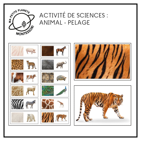 Montessori : le jeu d'association animal/ pelage-plumage à