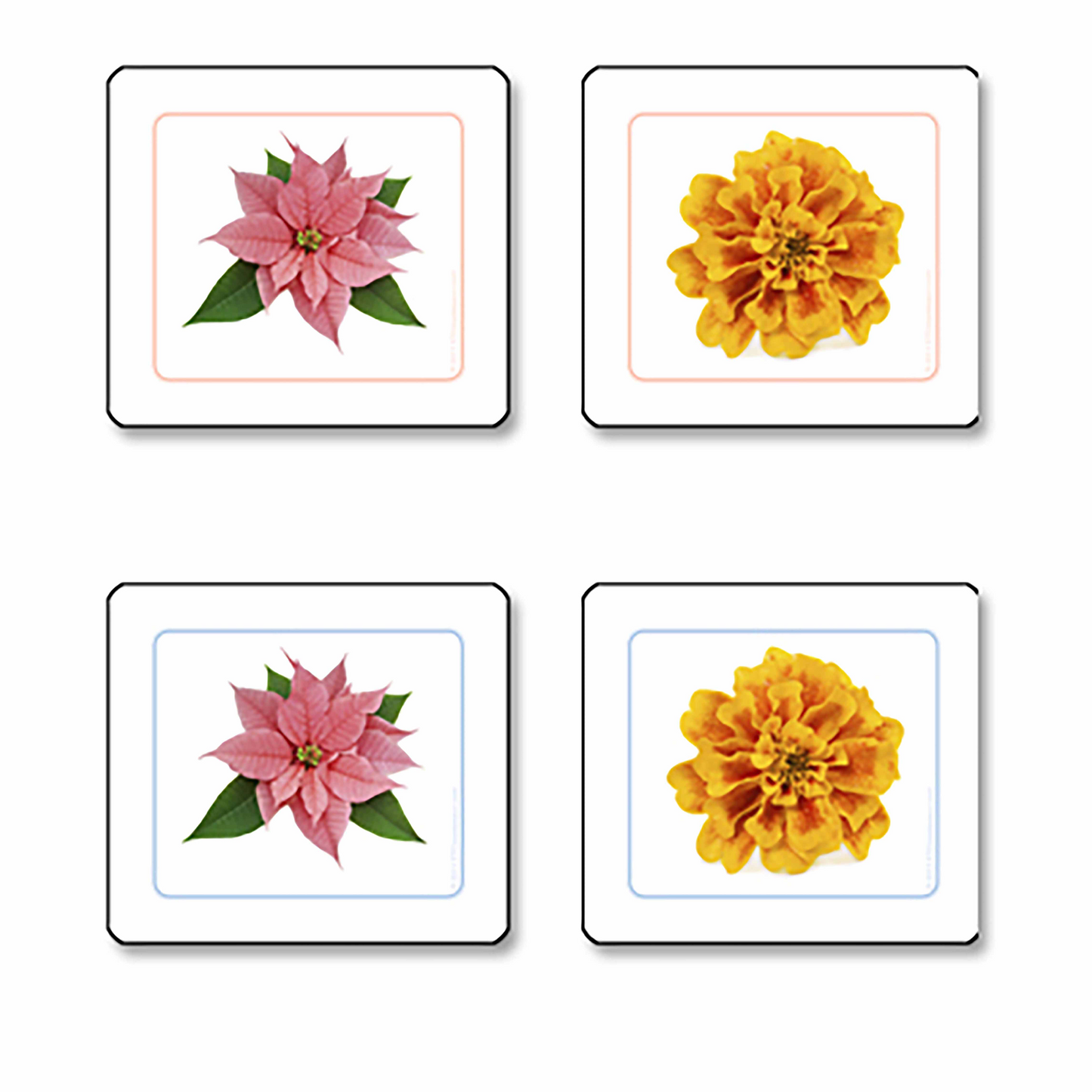 Flower Pairing Cards - Nienhuis AMI