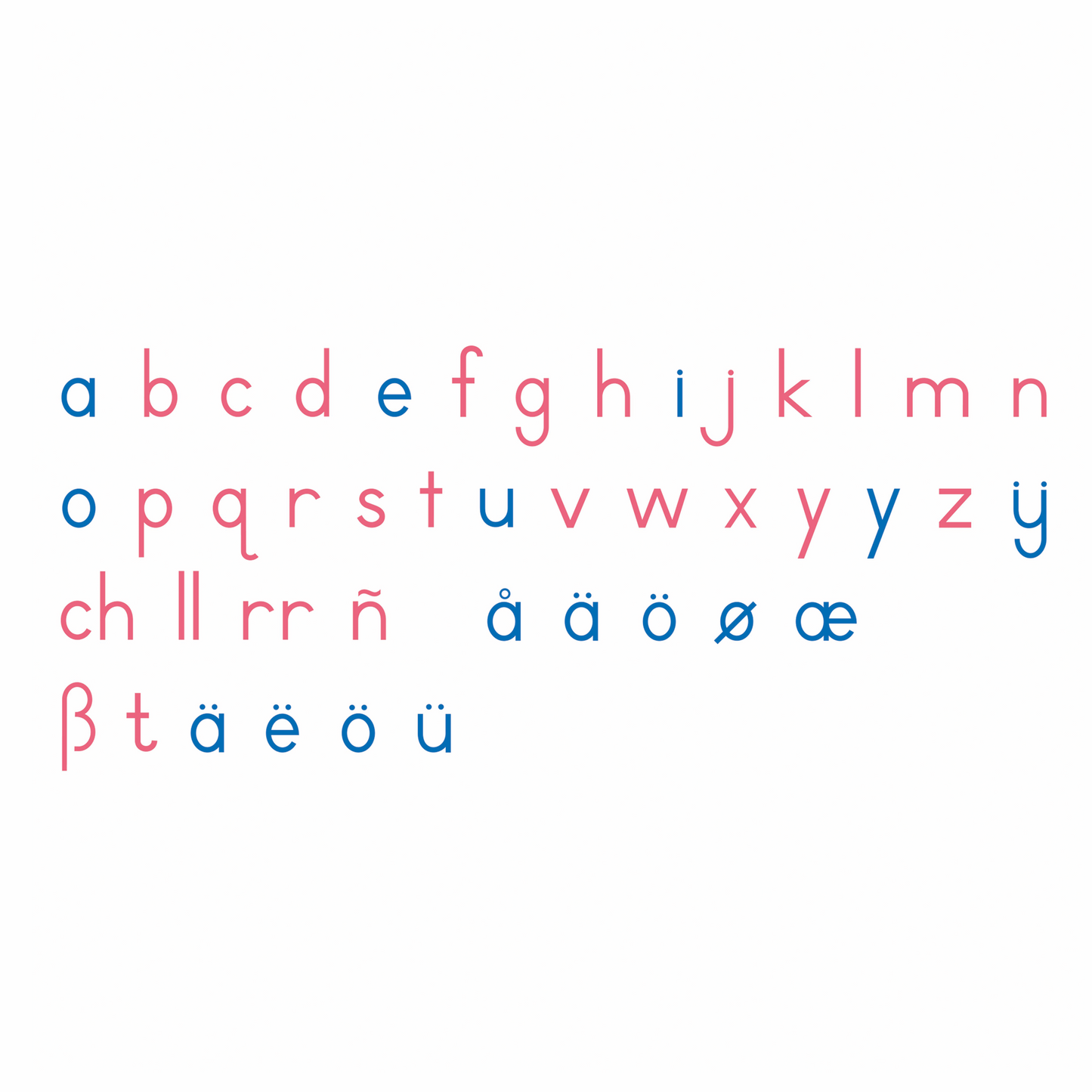 Large Movable Alphabet: International Printing - Nienhuis AMI