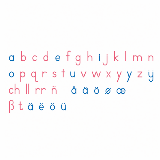 Large Movable Alphabet: International Printing - Nienhuis AMI