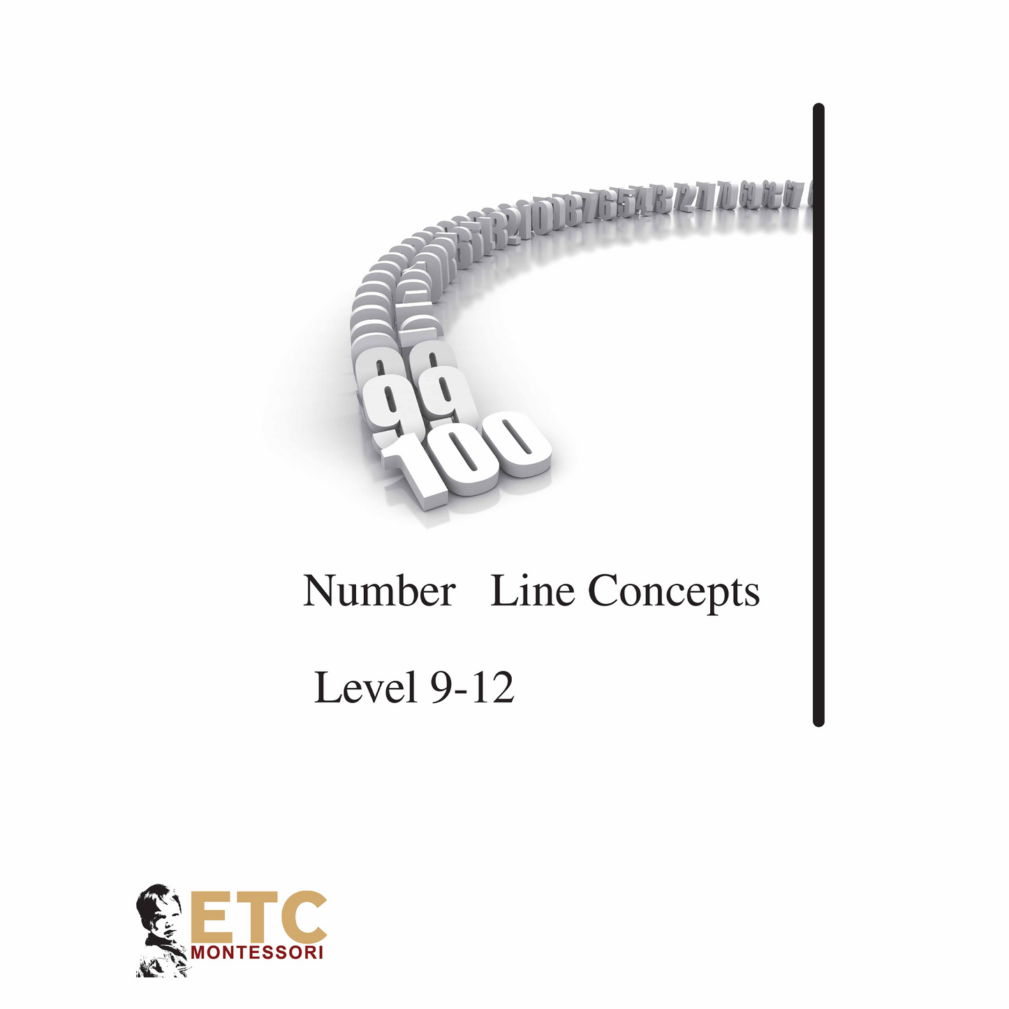 Number Line Extensions Level 9-12 - Nienhuis AMI