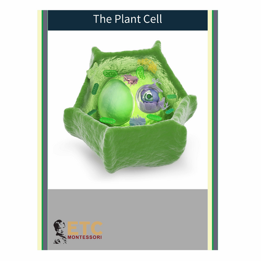 Plant Cell - Nienhuis AMI