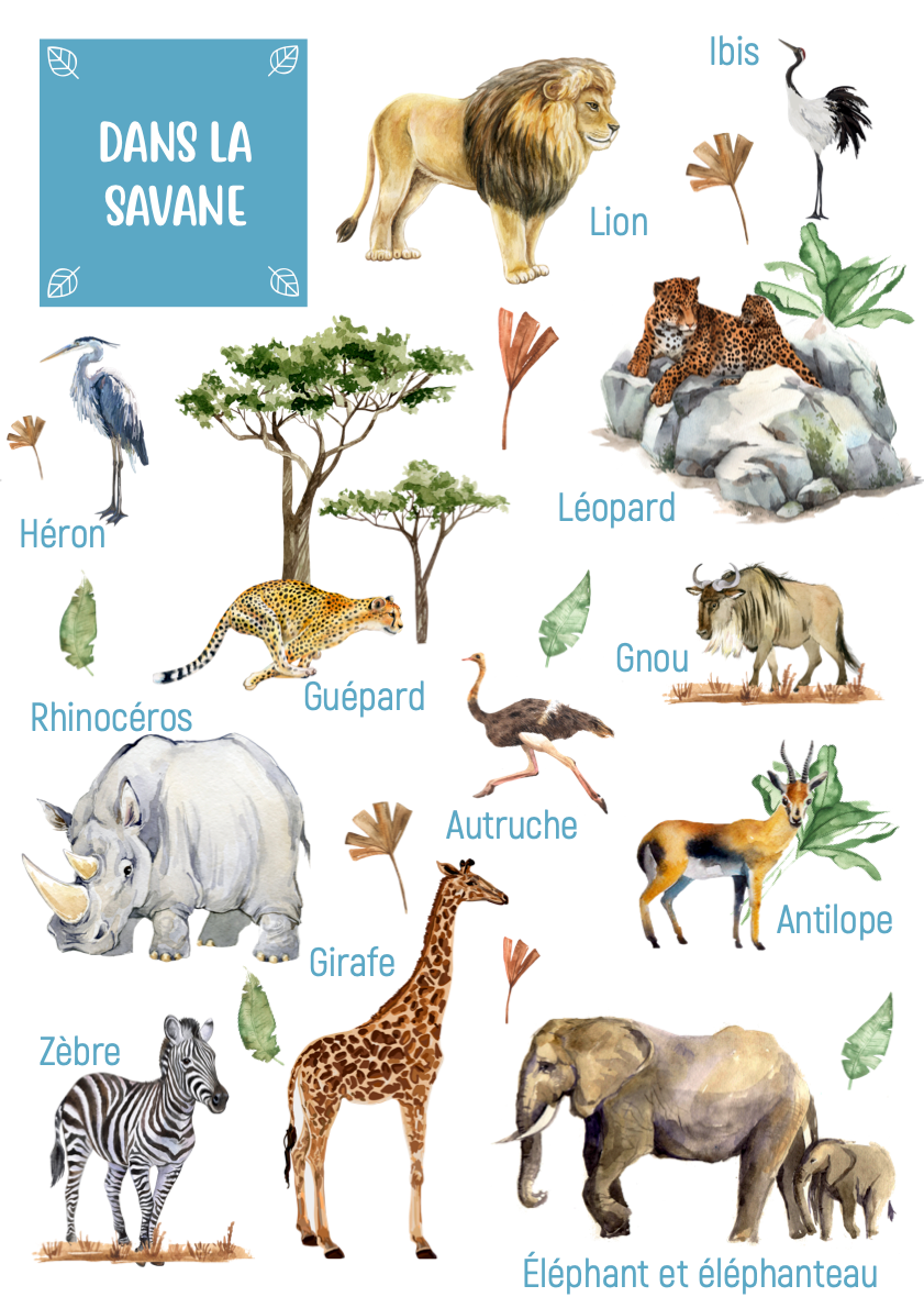 Images classifiées : les animaux de la savane - Ti'loustics Images  classifiées