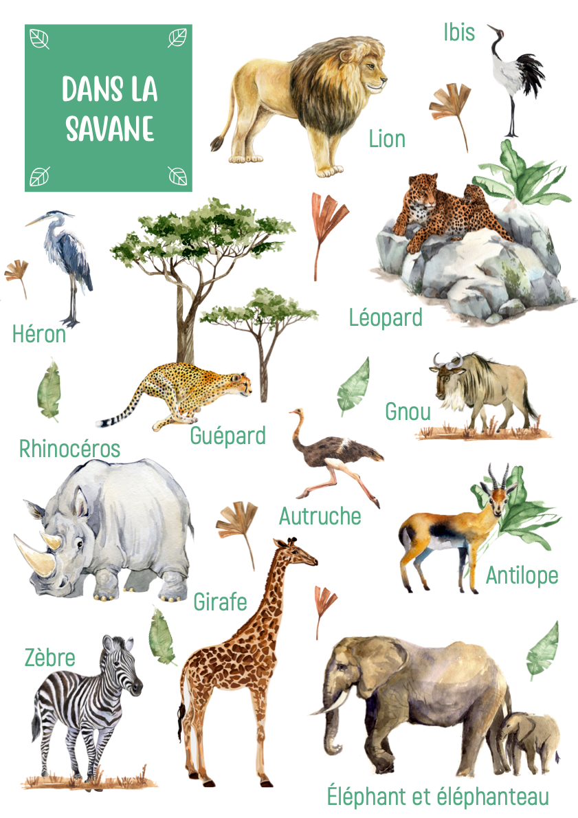Foufou - Les Animaux de la Savane (Learn Animals of the Savannah for Kids)  4K 